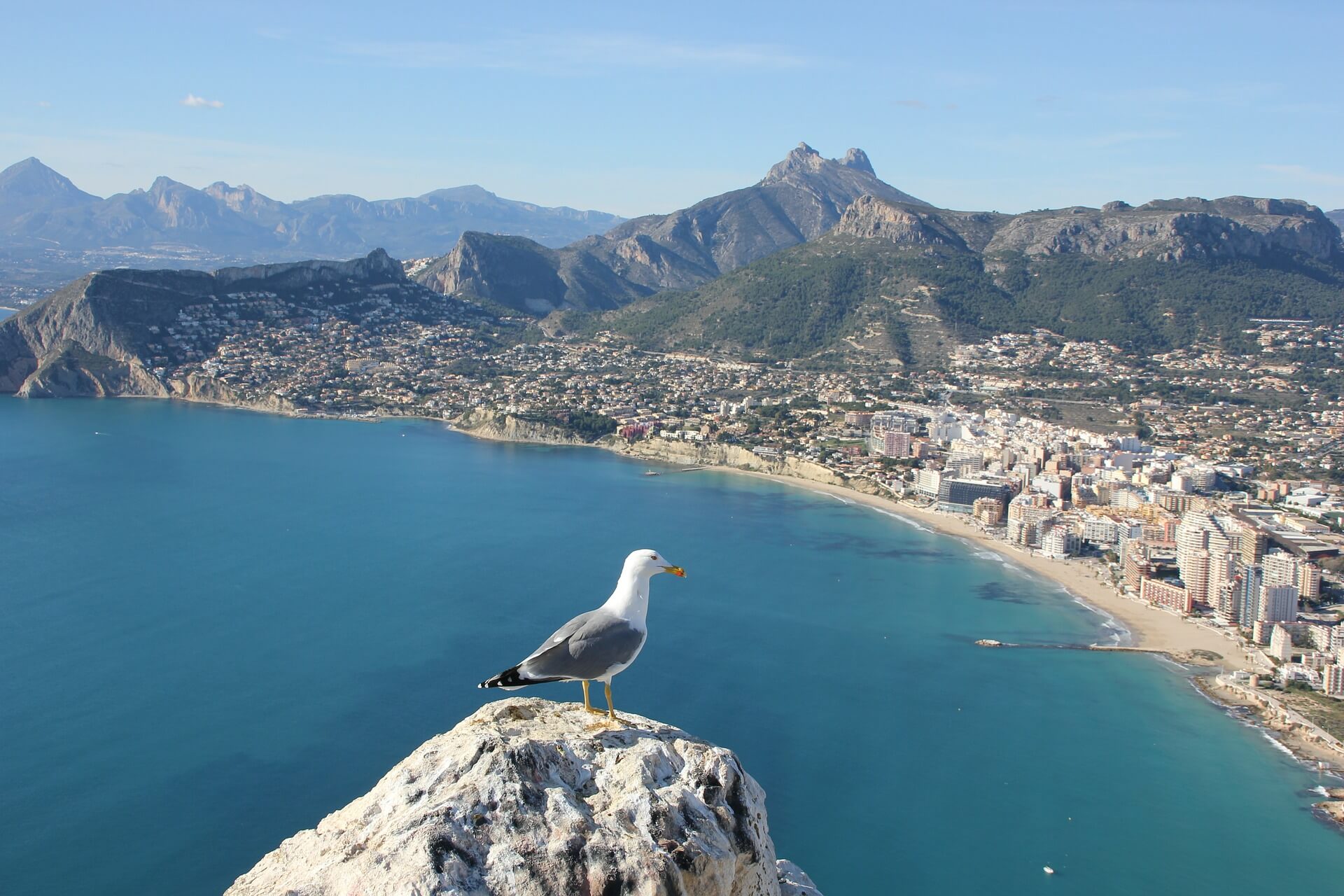 Alicante