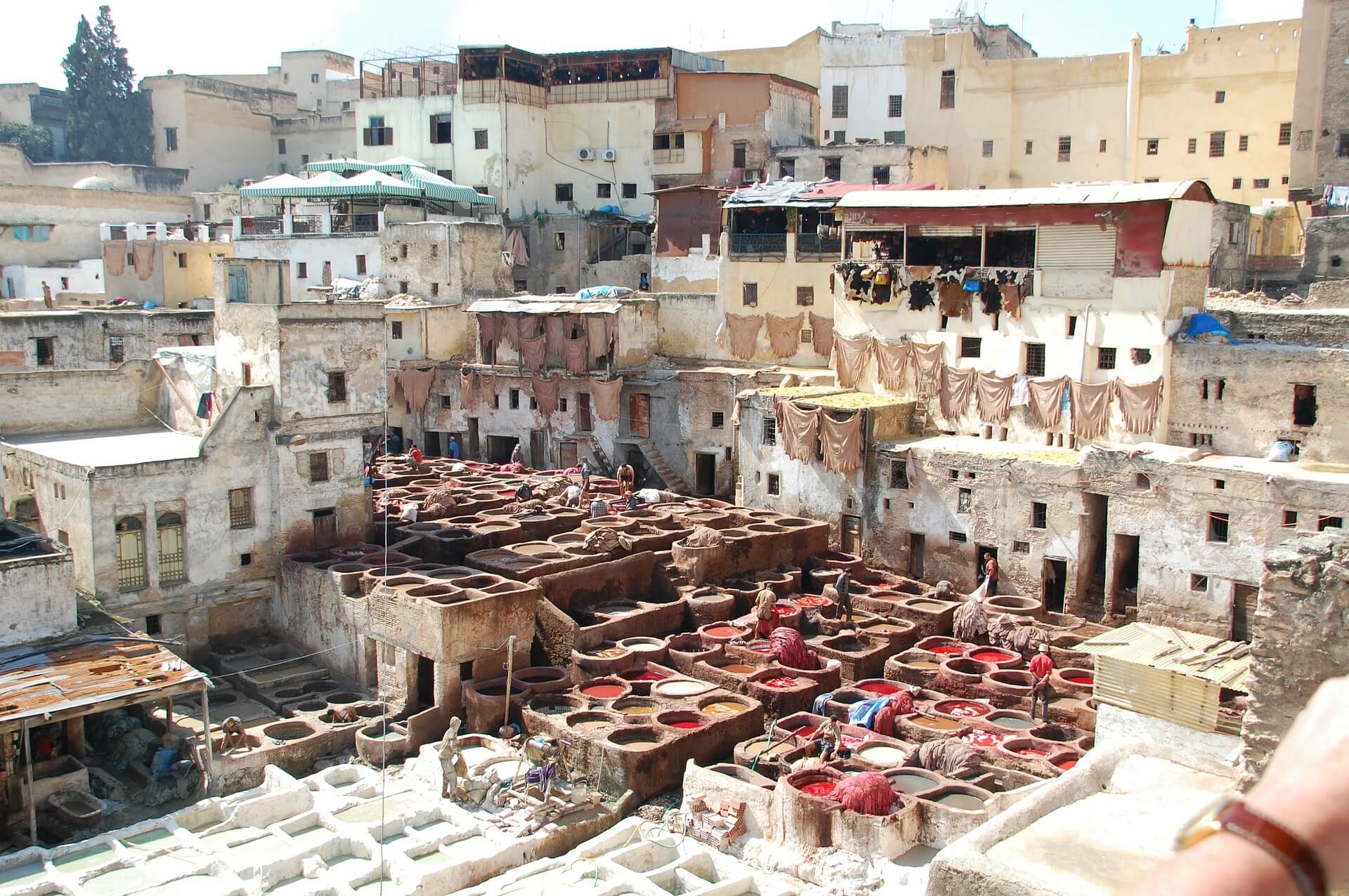 Fes-Saiss