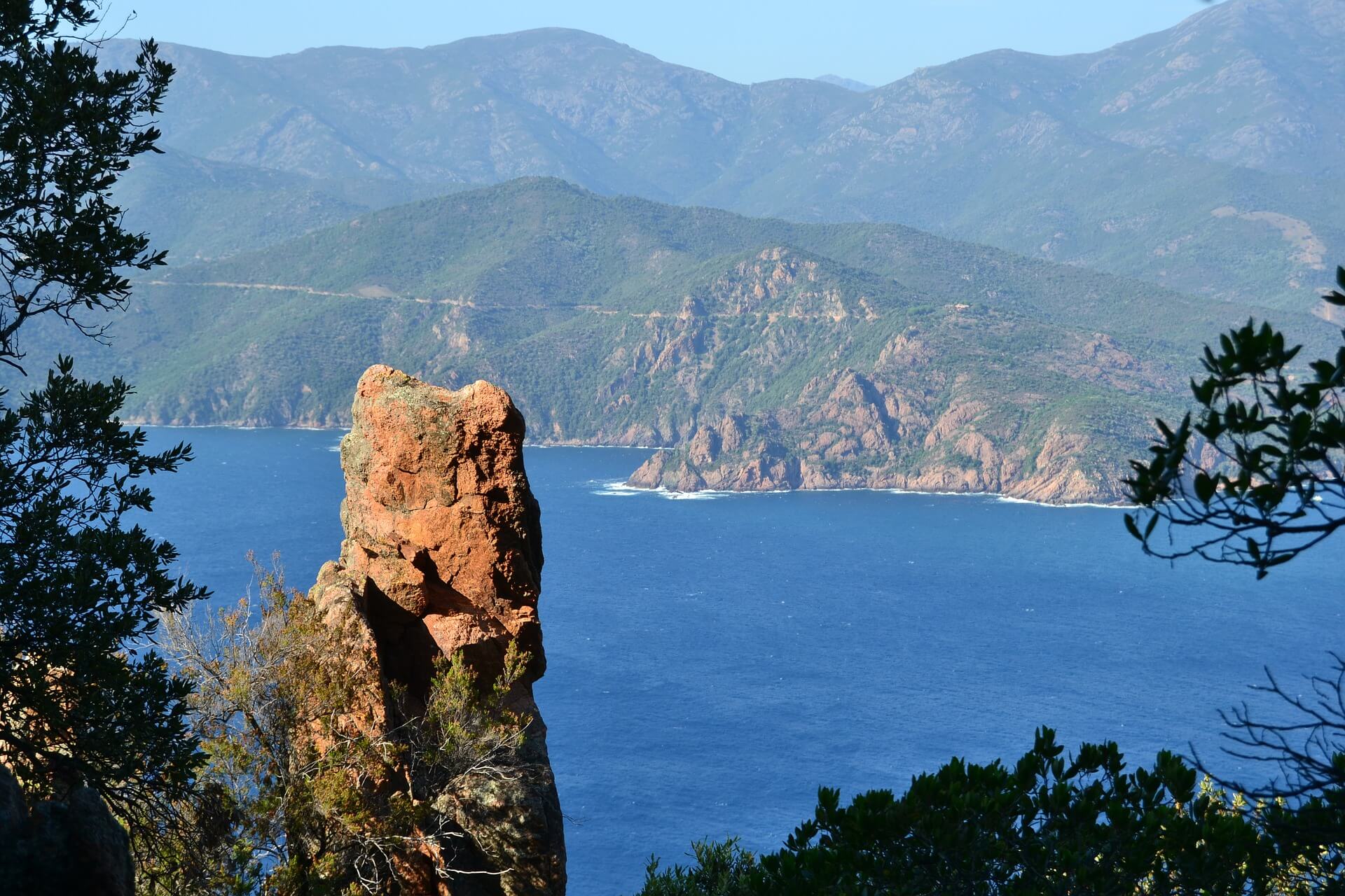 Figari