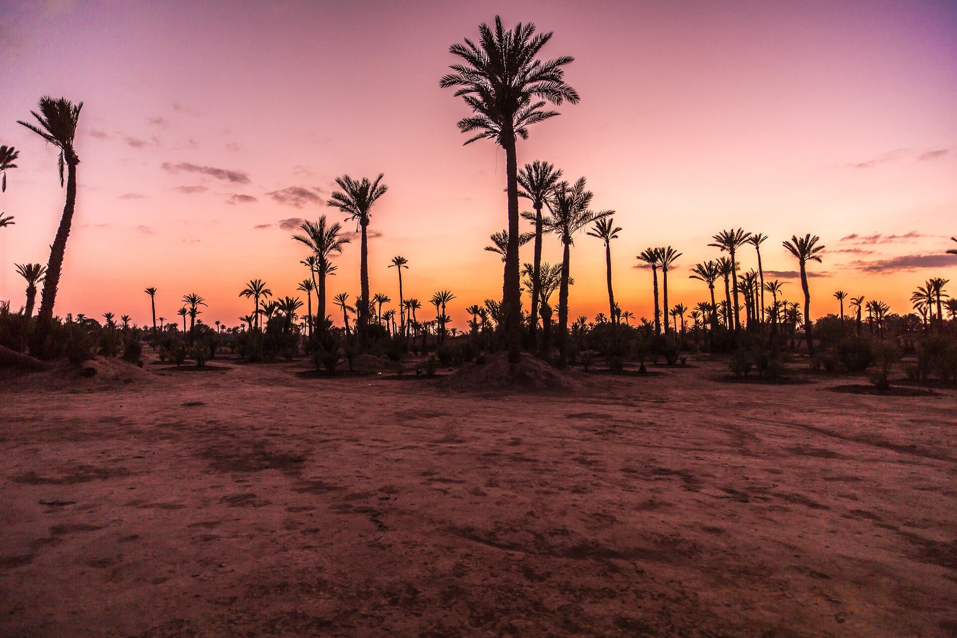 Oujda